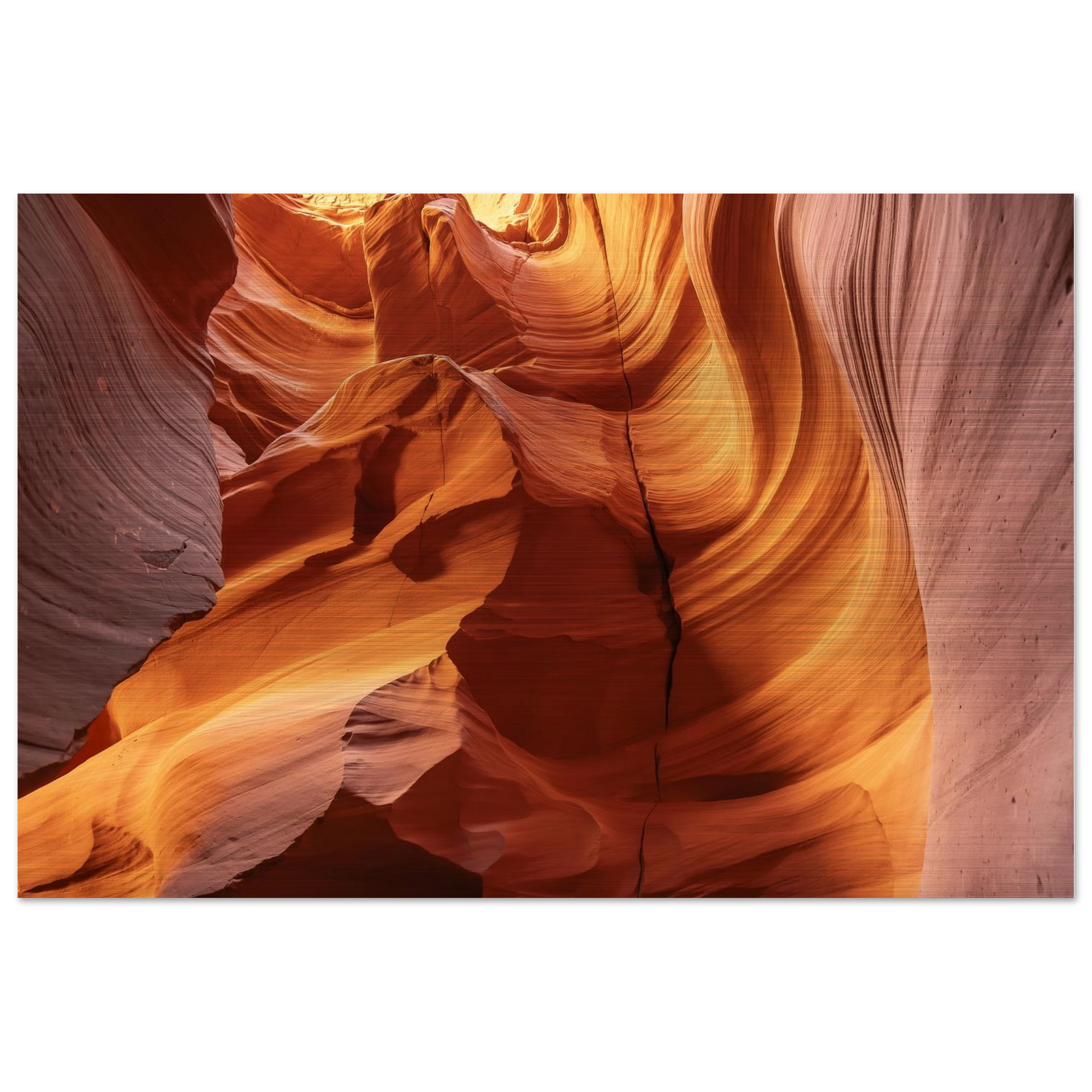 d9727860-221d-4ca7-bc20-901e3cce349e